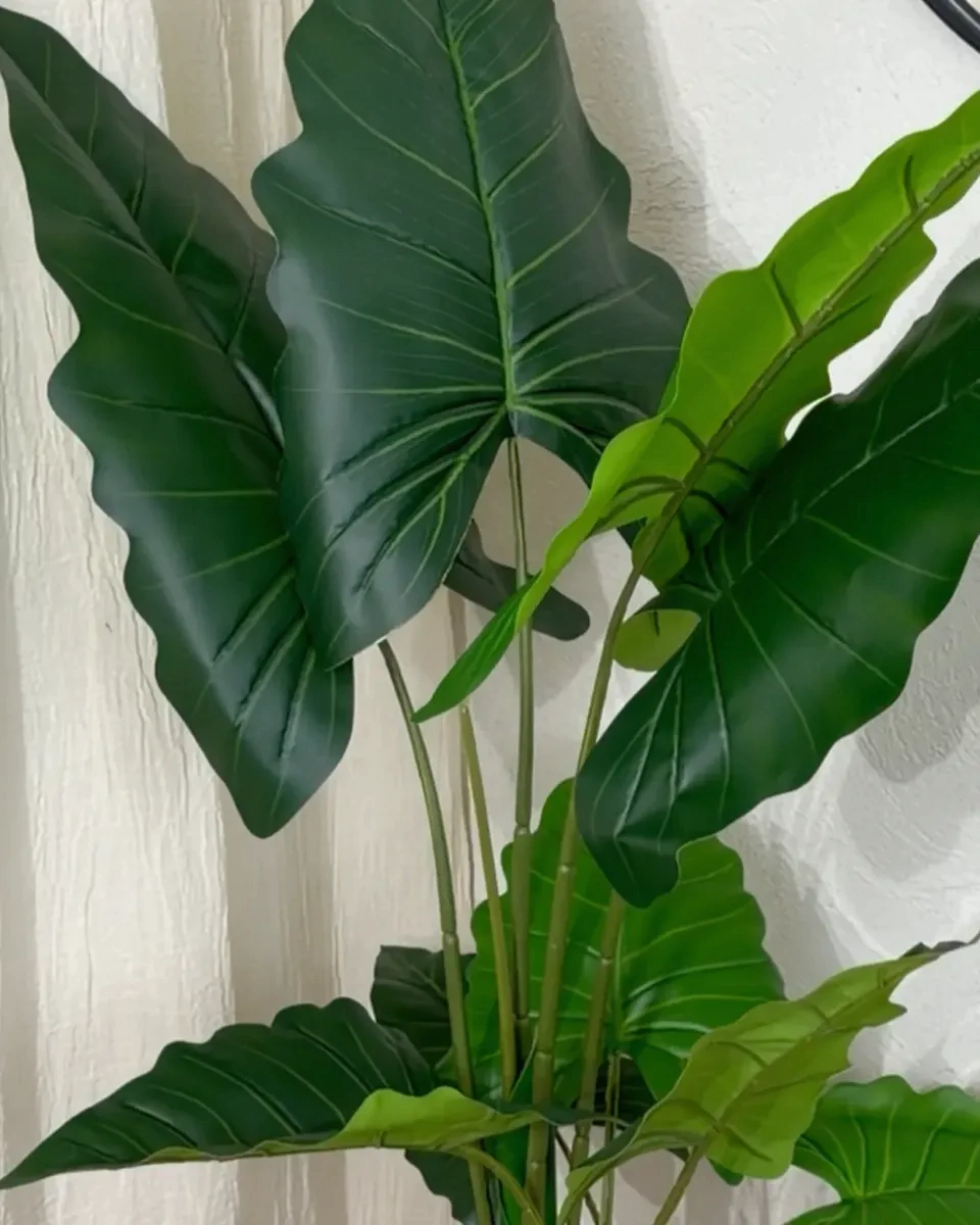 Bambu
