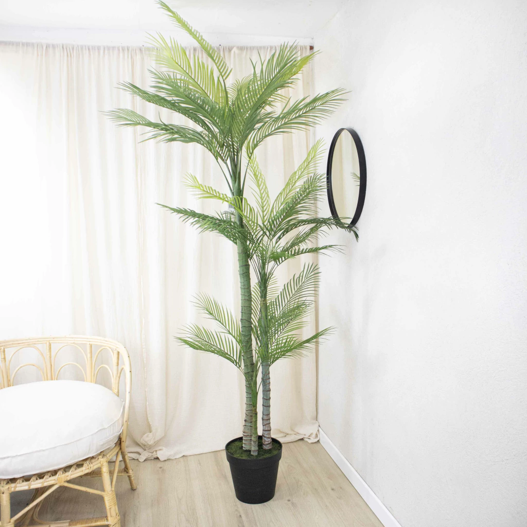 Strelitzia