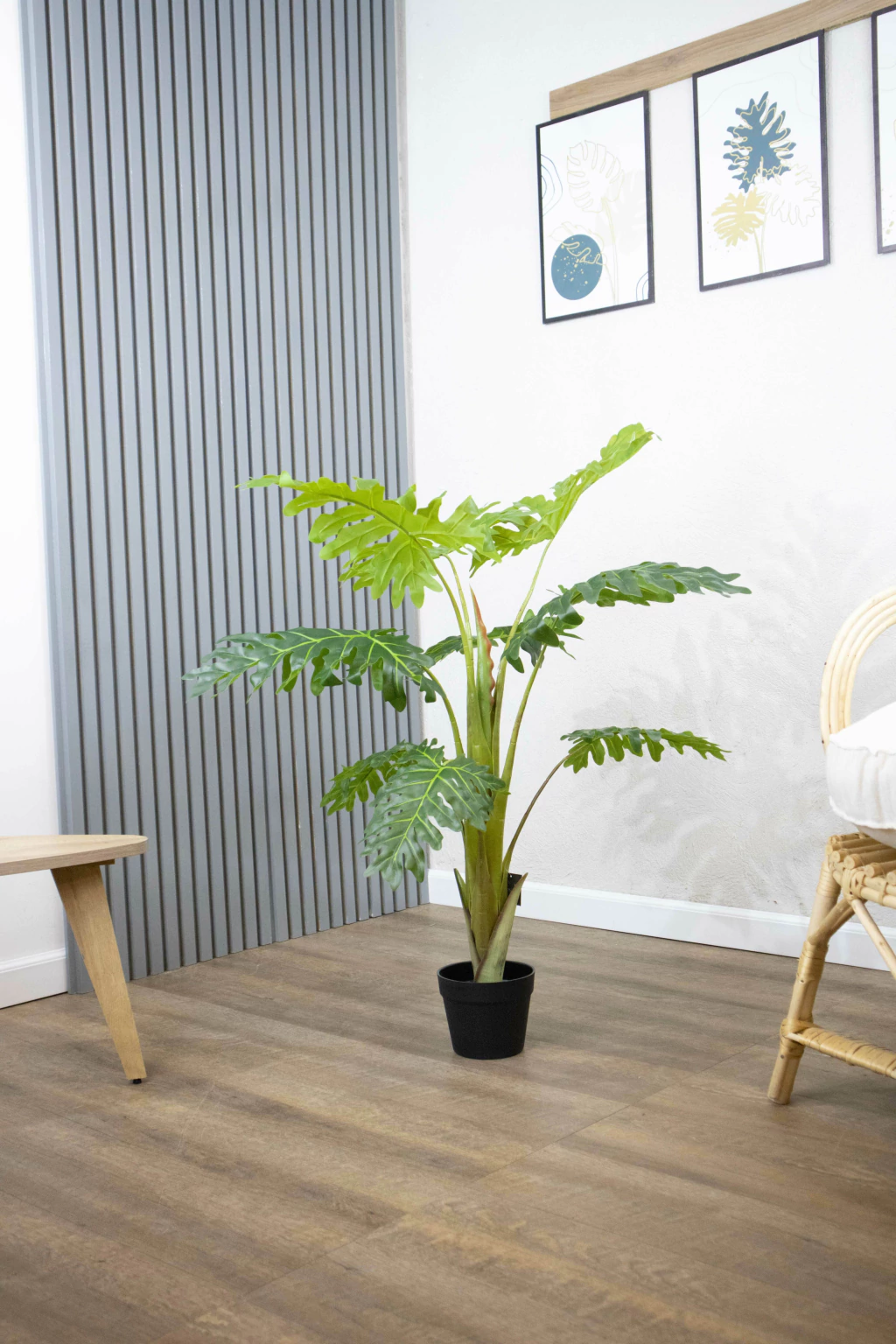 Pilea